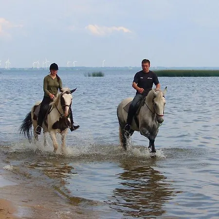 Osrodek Wczasowy Polino * 미엥지즈드로예